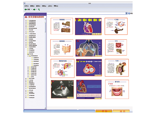 医学多媒体素材库