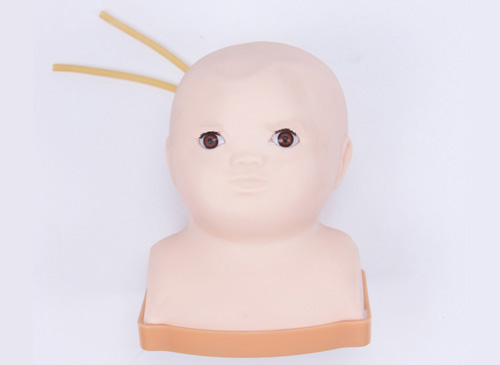 新生儿头部静脉输液模型