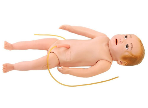 新生儿全身静脉输液模型